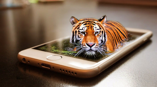 Как в реальной жизни стать магом огня, воды, воздуха в